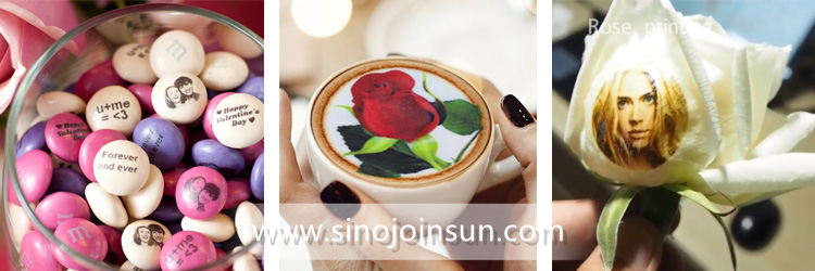 День sinojoinsun Валентина еды decoration_1